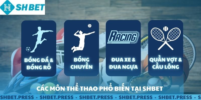 Các môn thể thao phổ biến tại sảnh SHBET.