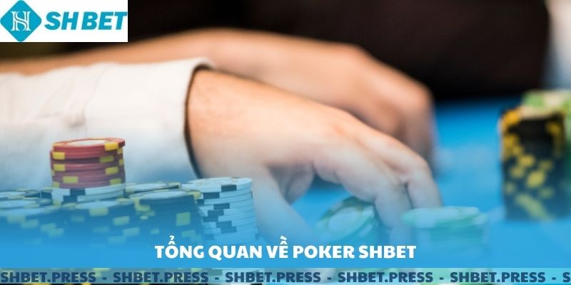 Tổng quan về poker shbet.