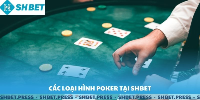 Các mối quan tâm và giải pháp cho người chơi.