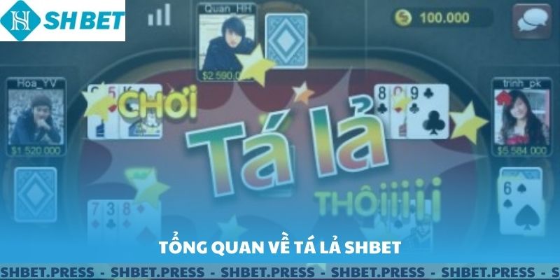 Tổng quan về tá lả SHBET.