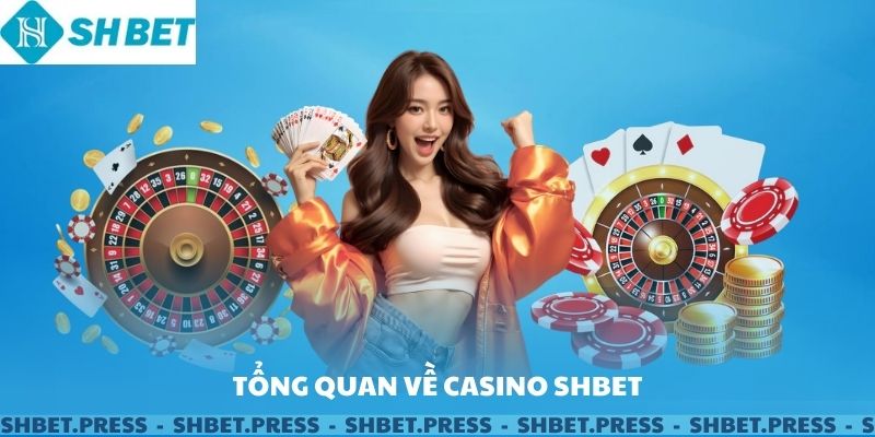 Tổng quan về casino shbet.