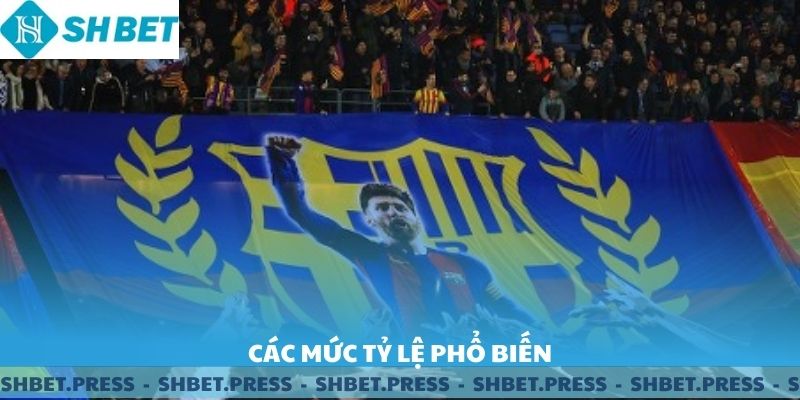 Các mức tỷ lệ cược phổ biến tại kèo chấp SHBET.