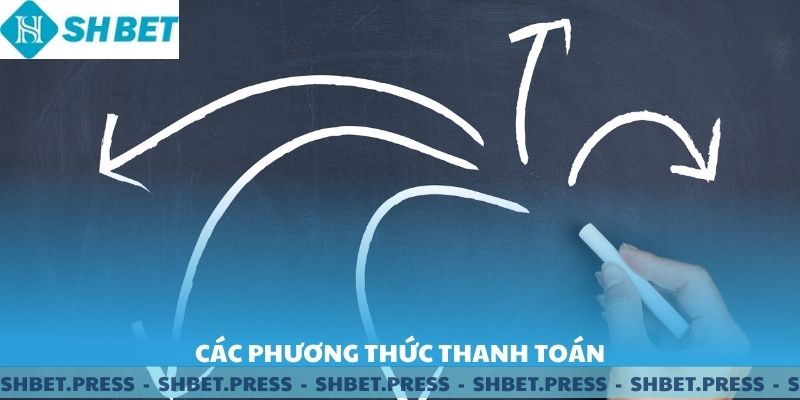 Các phương thức thanh toán SHBET.