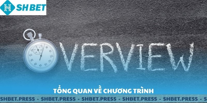 Tổng quan về chương trình kỷ niệm 13 năm.