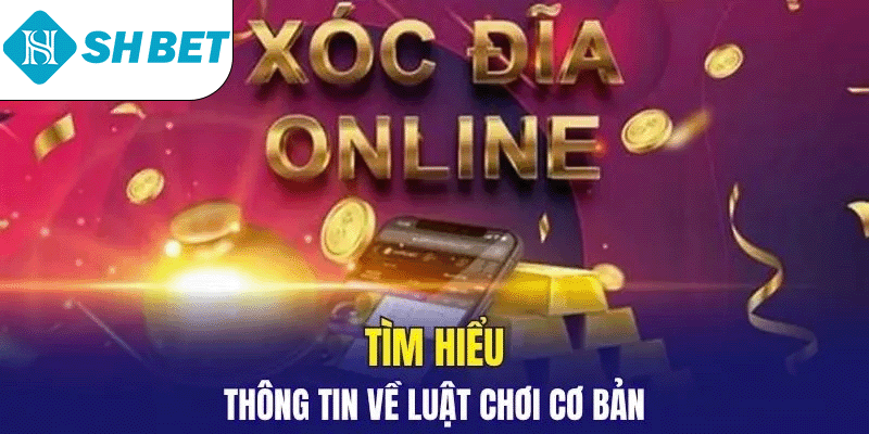 Giới thiệu luật cơ bản hiện nay