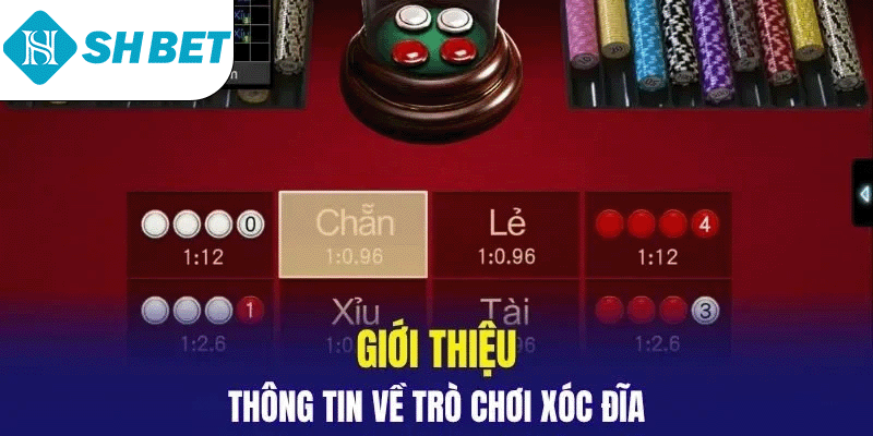 Tìm hiểu thông tin về xóc đĩa SHBET