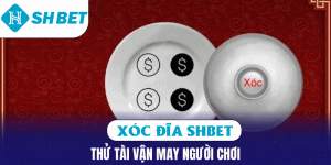 ảnh đại diện xóc đĩa SHBET