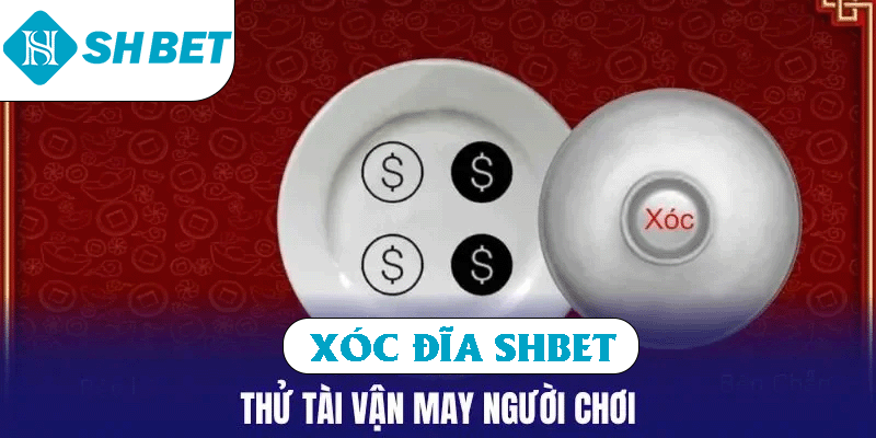 ảnh đại diện xóc đĩa SHBET